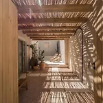 Casa Vindemia